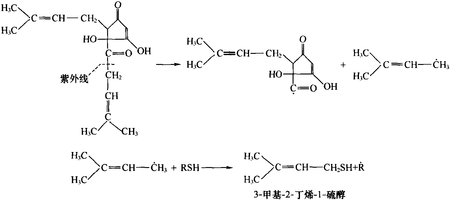 四、酒花品种、制品及其质量控制